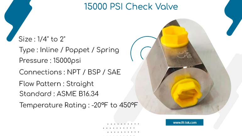 15000 PSI Check Valve