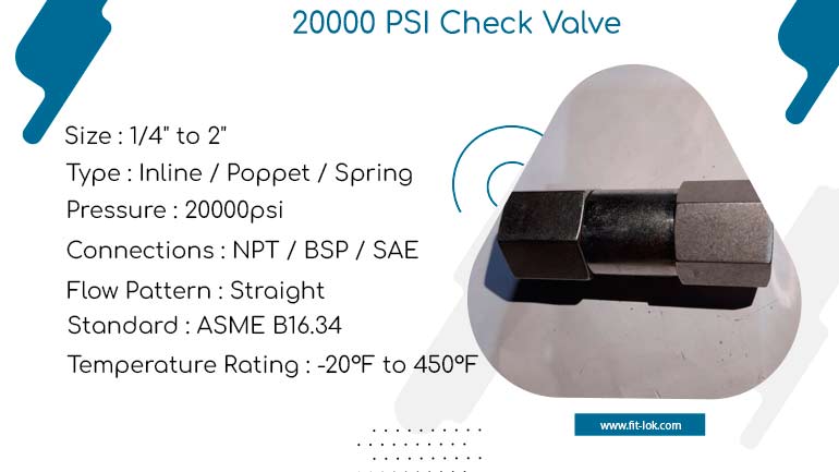 20000 Psi Check Valve