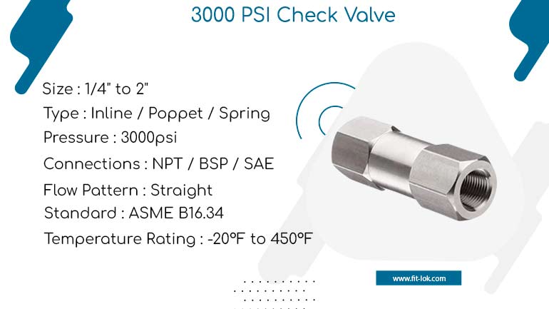 3000 psi check valve