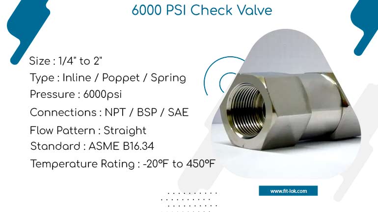 6000 PSI Check Valve