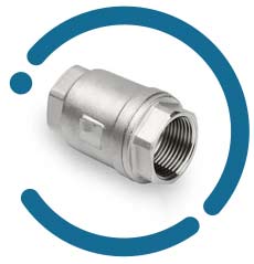 AISI 316L Spring Check Valve