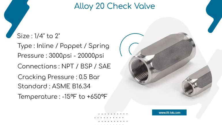 Alloy 20 Check Valve