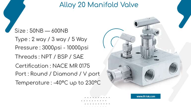 Alloy 20 manifold valve