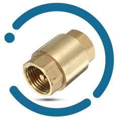 Brass Poppet Check Valve