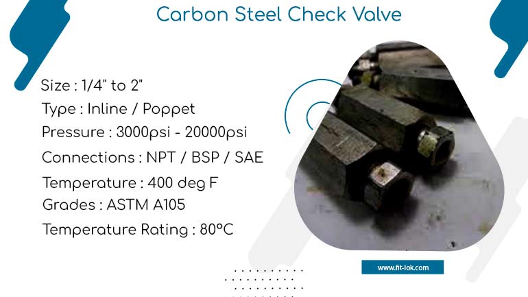 Carbon steel check valve