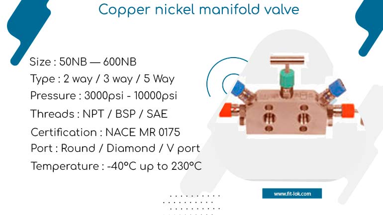 Copper nickel manifold valve