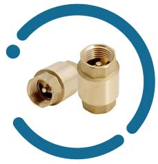 Cu Spring Check Valve