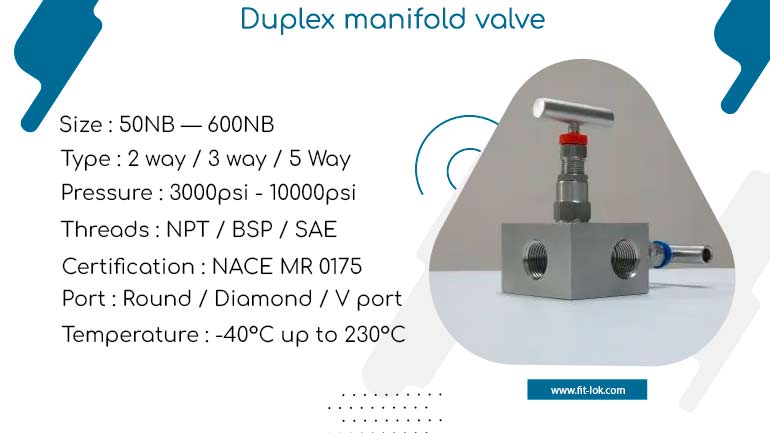 Duplex manifold valve