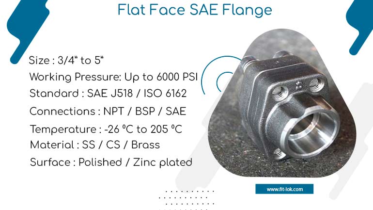 Flat face SAE flange