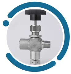 Globe Control Valve