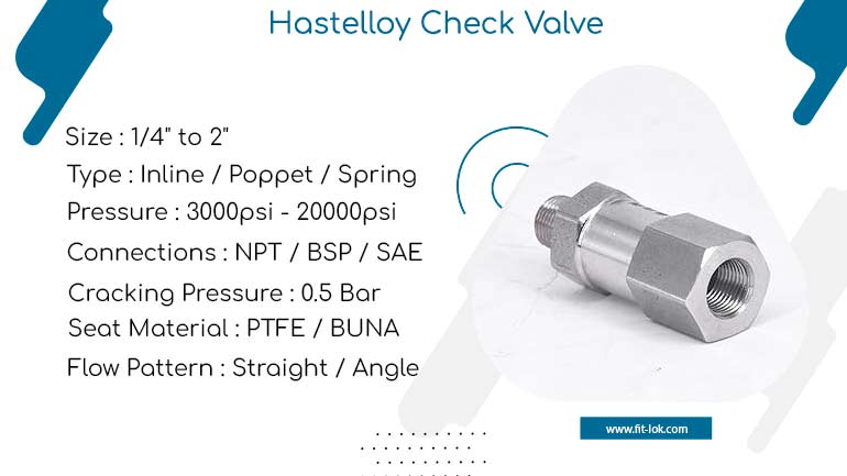 Hastelloy Check Valve