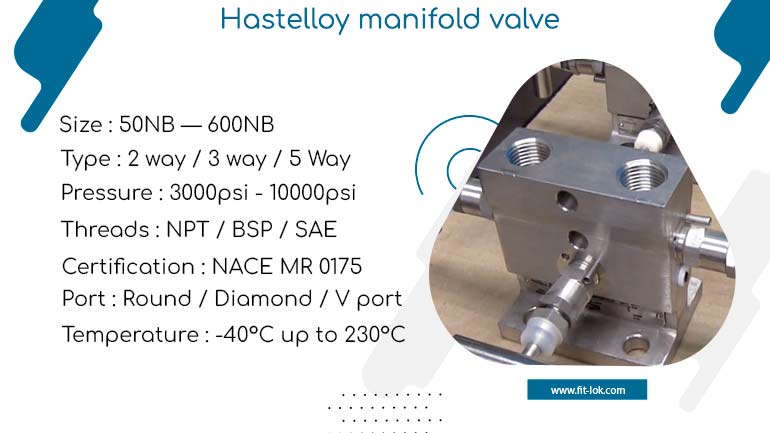 Hastelloy manifold valve