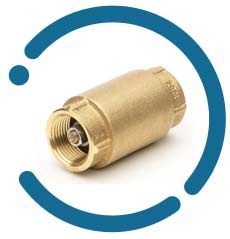 IS 319 Grade 2 Brass Spring Check Valve