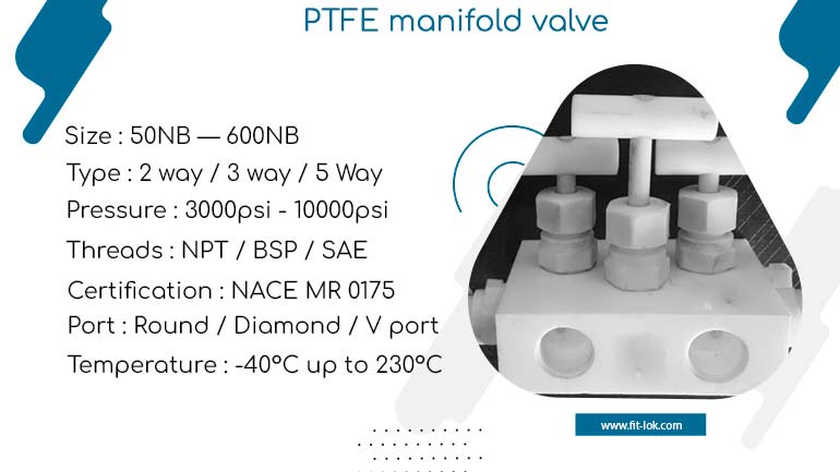 PTFE Manifold Valves
