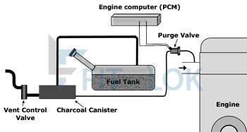 Evap Purge Solenoid Valve Working