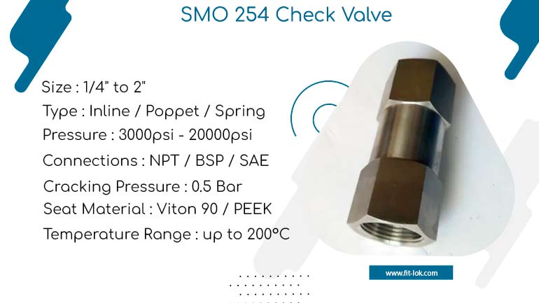 SMO 254 Check Valve