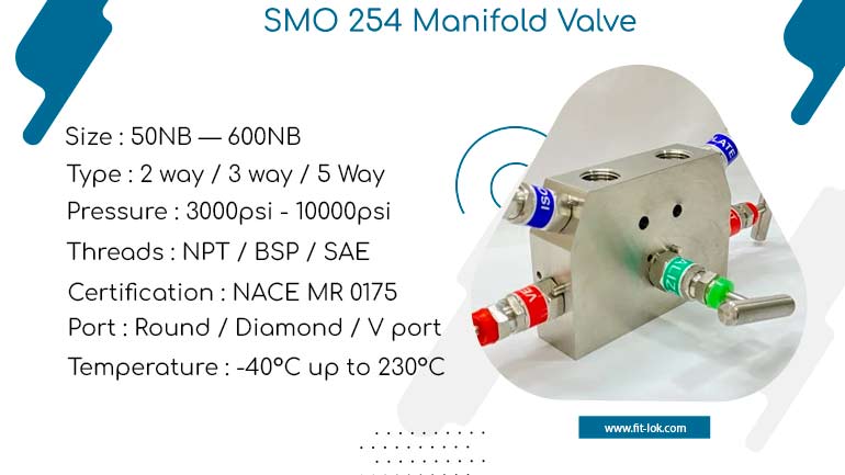 SMO 254 manifold valve