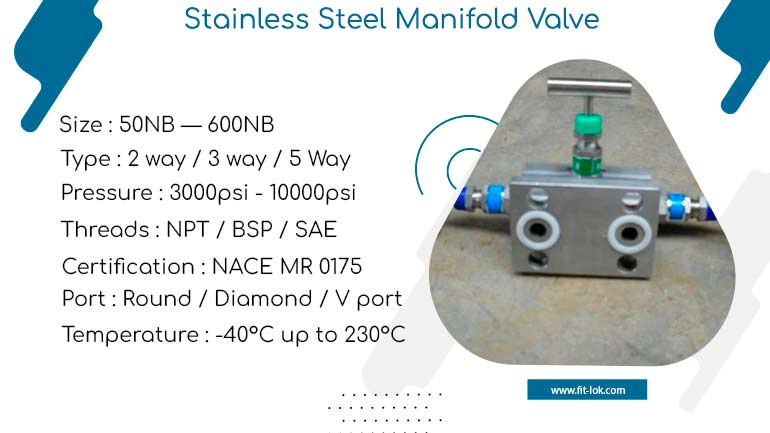Stainless Steel Manifold Valve