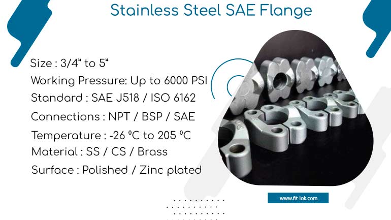 Stainless Steel SAE Flanges