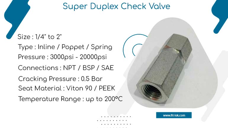 Super Duplex Check Valve