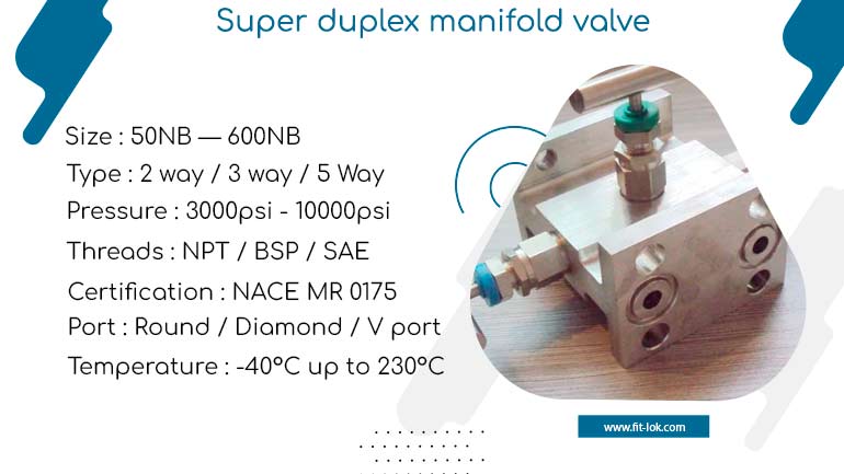 Super duplex manifold valve