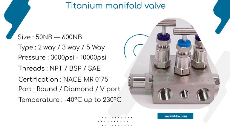 Titanium manifold valve